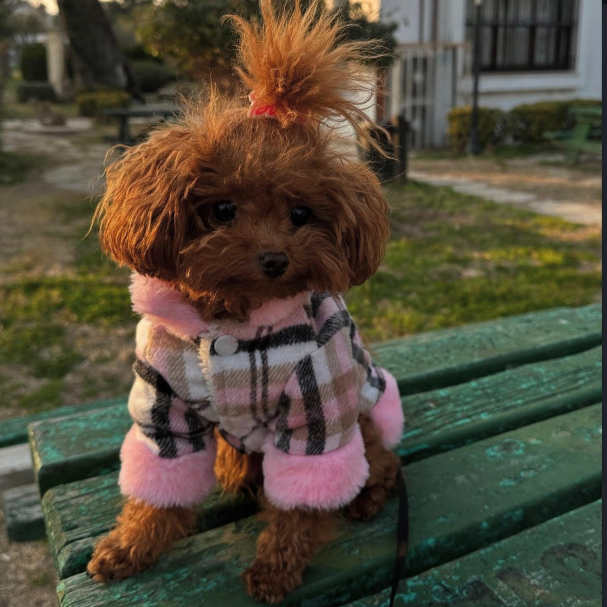 Furbaby Pink Coat