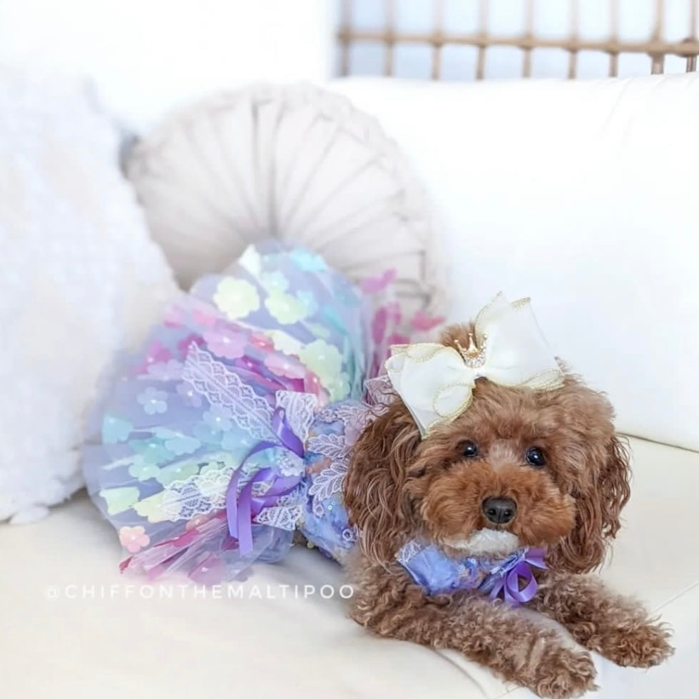 Duchess Bow