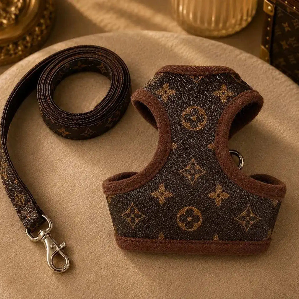 Pawtton Harness & Leash
