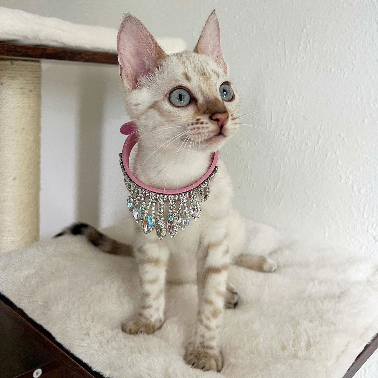 Royal Necklace