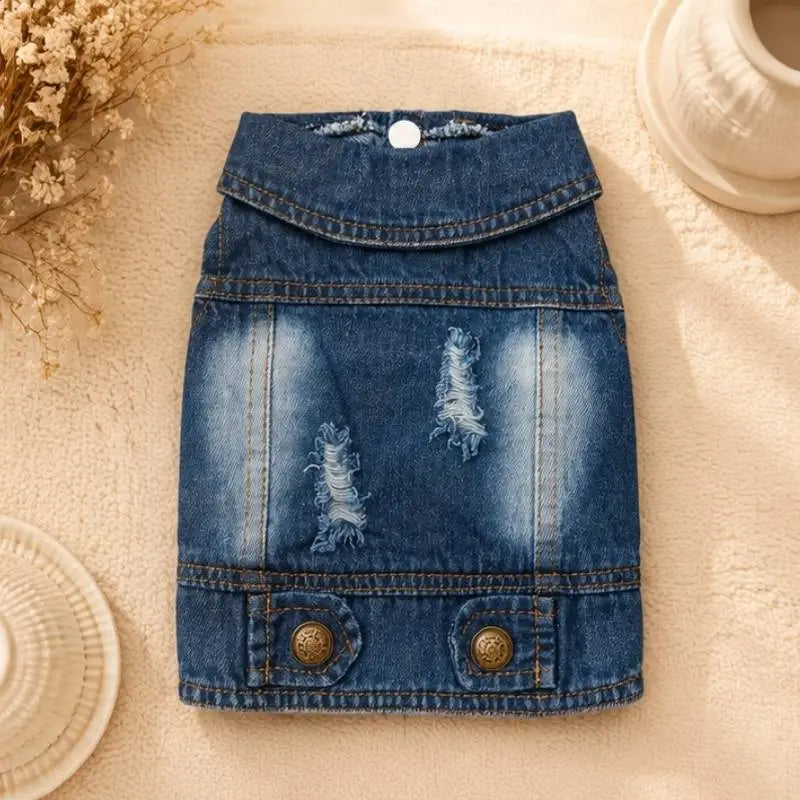 Classic Denim Jacket