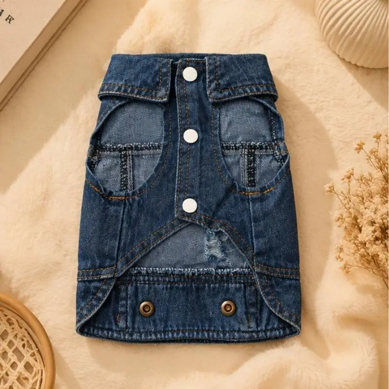 Classic Denim Jacket