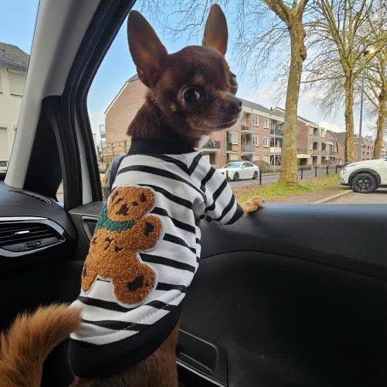 Teddy Pullover