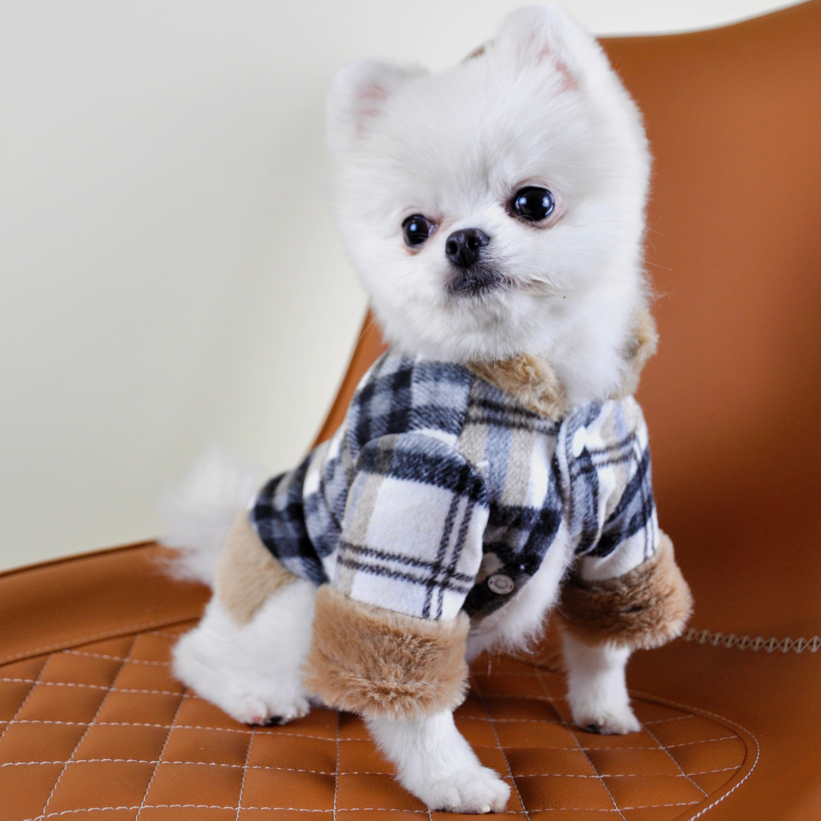 Furbaby Brown Coat