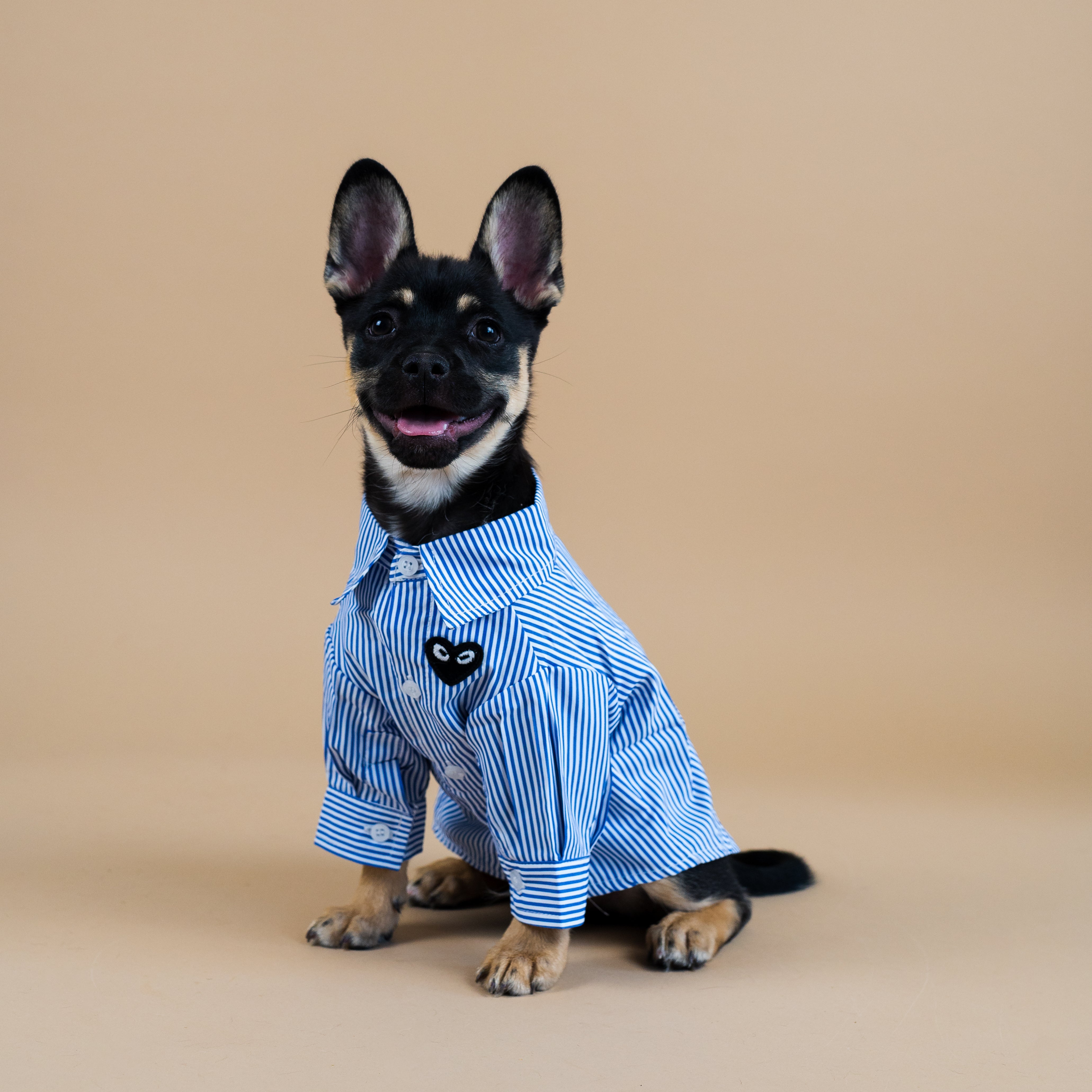 Charlie Button Up