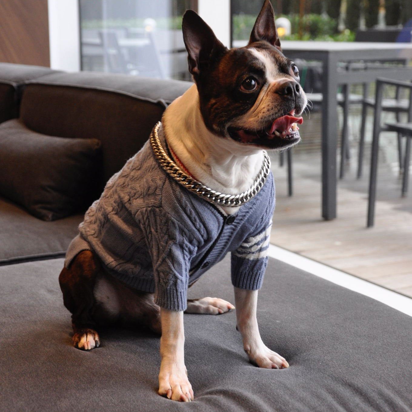 Winston Cardigan