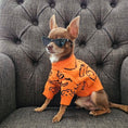 Load image into Gallery viewer, Harlow Knit