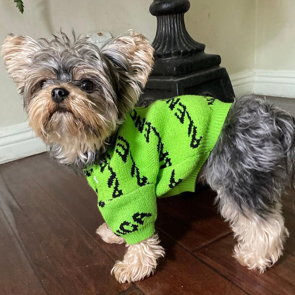Pawlenciaga Knit