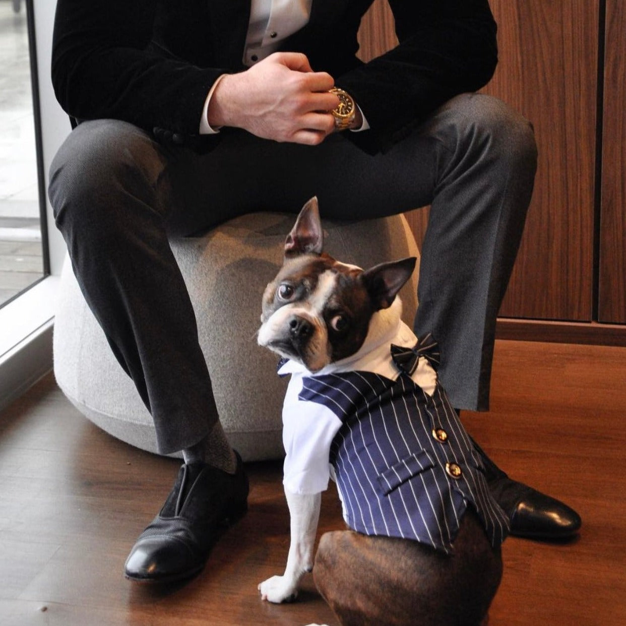 Mr. Woof Tuxedo