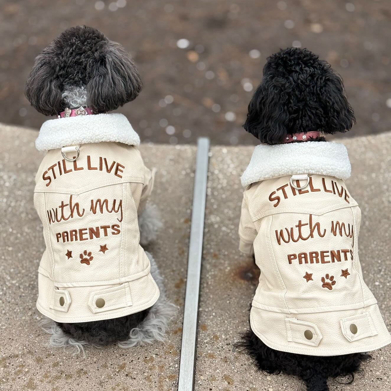 Furbaby Slogan Jacket