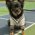 Load image into Gallery viewer, Sporty Pooch Knit