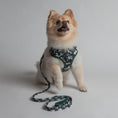 Load image into Gallery viewer, Furbaby Camo Harness