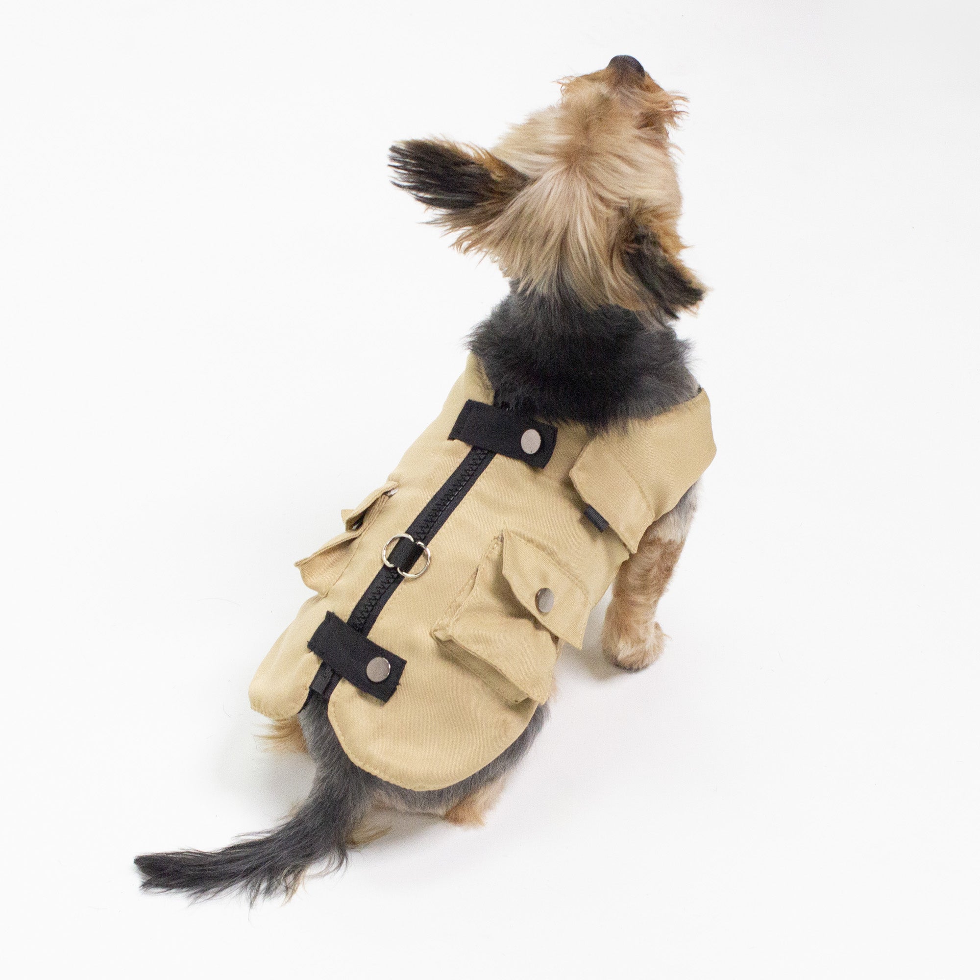 Cargo Harness Vest