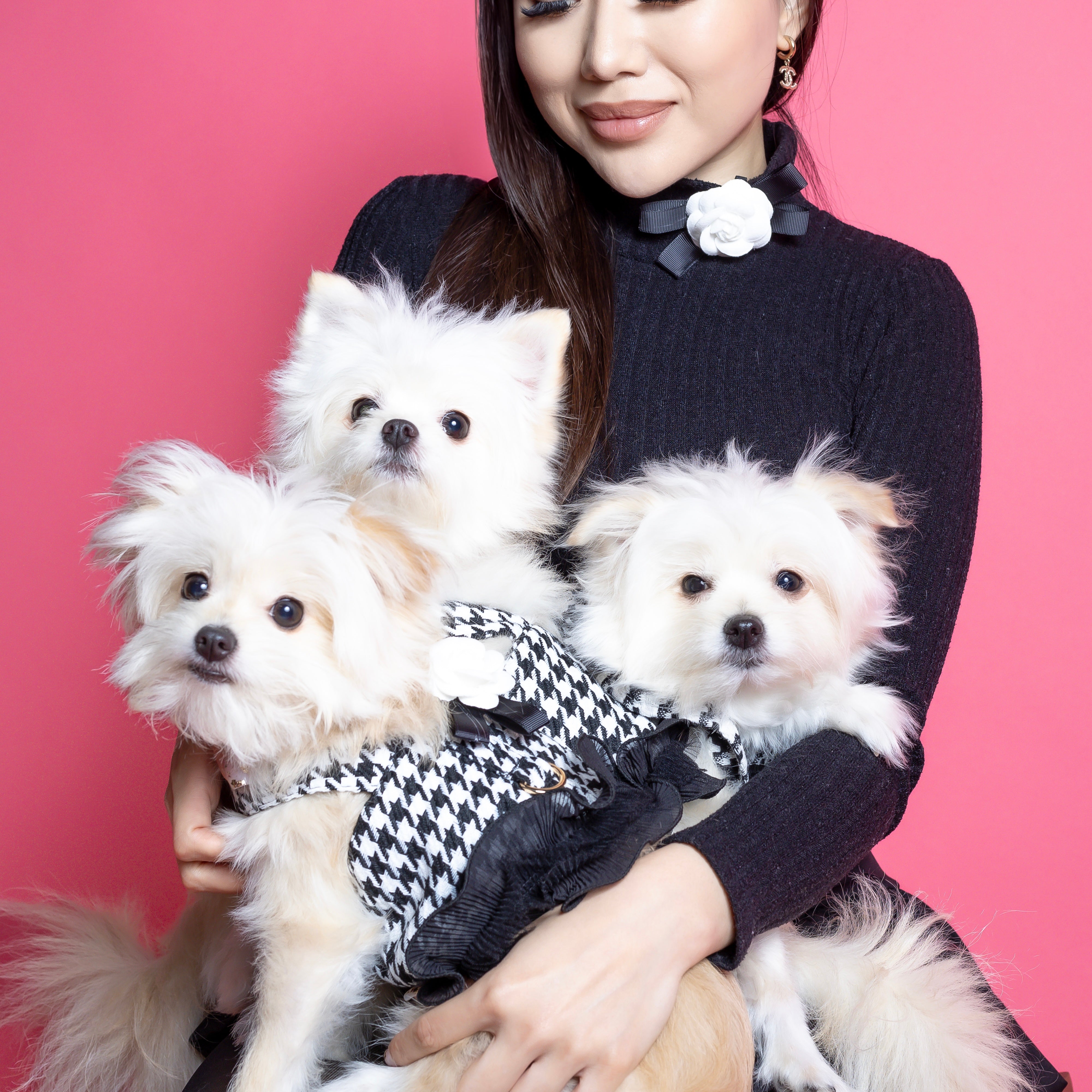 Houndstooth Harness Dress