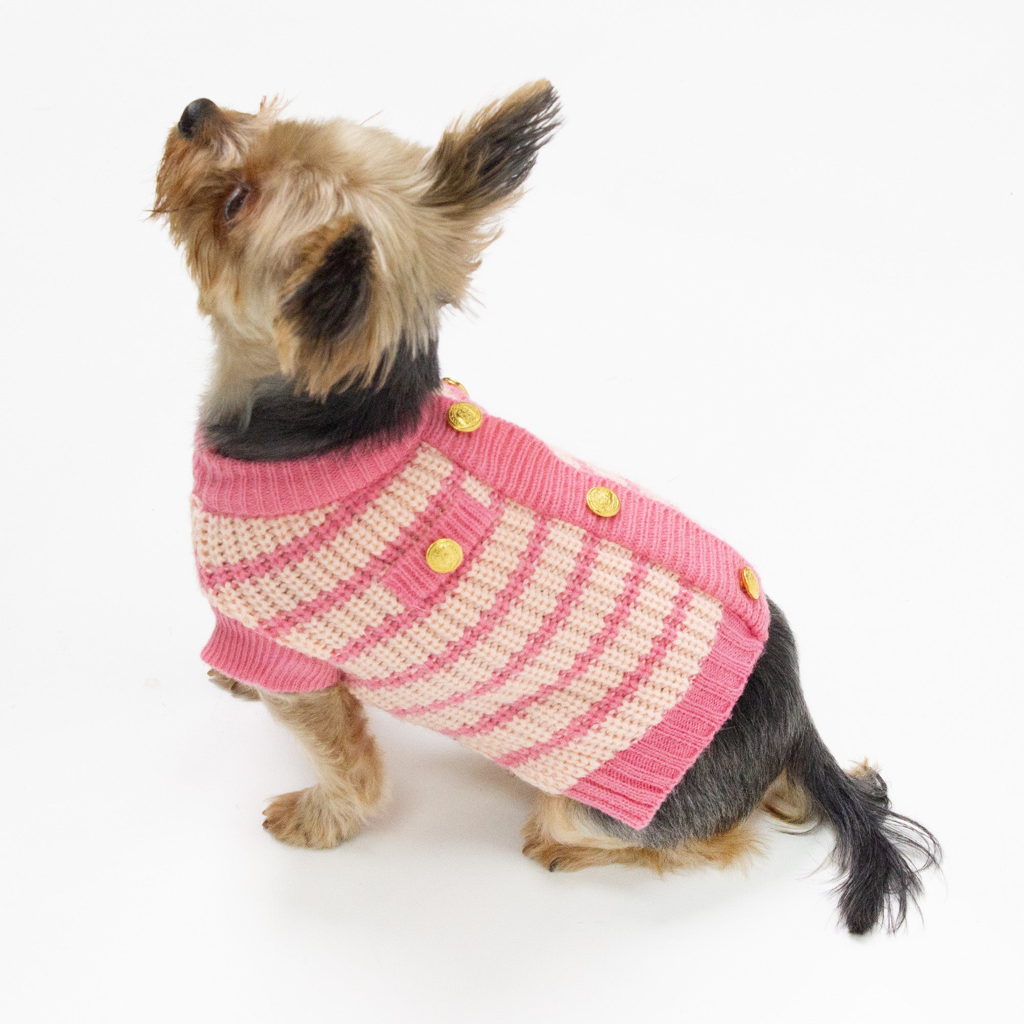 Paris Knit