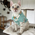 Load image into Gallery viewer, Layla Vest