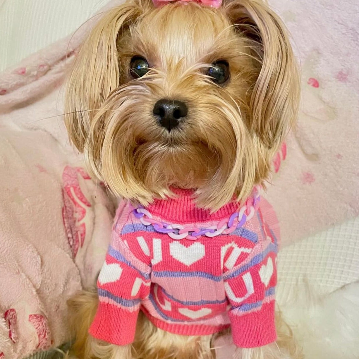 MiMi Knit