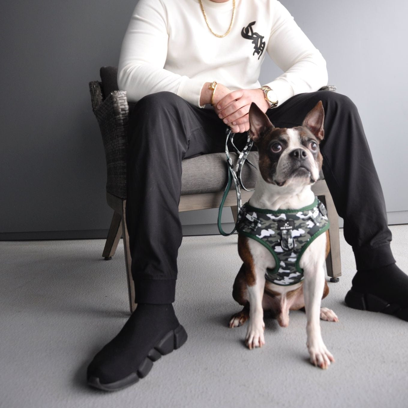 Camo Harness & Leash