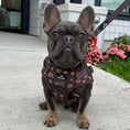 Load image into Gallery viewer, Furbaby Harness