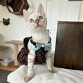 Load image into Gallery viewer, Love Me Sundress