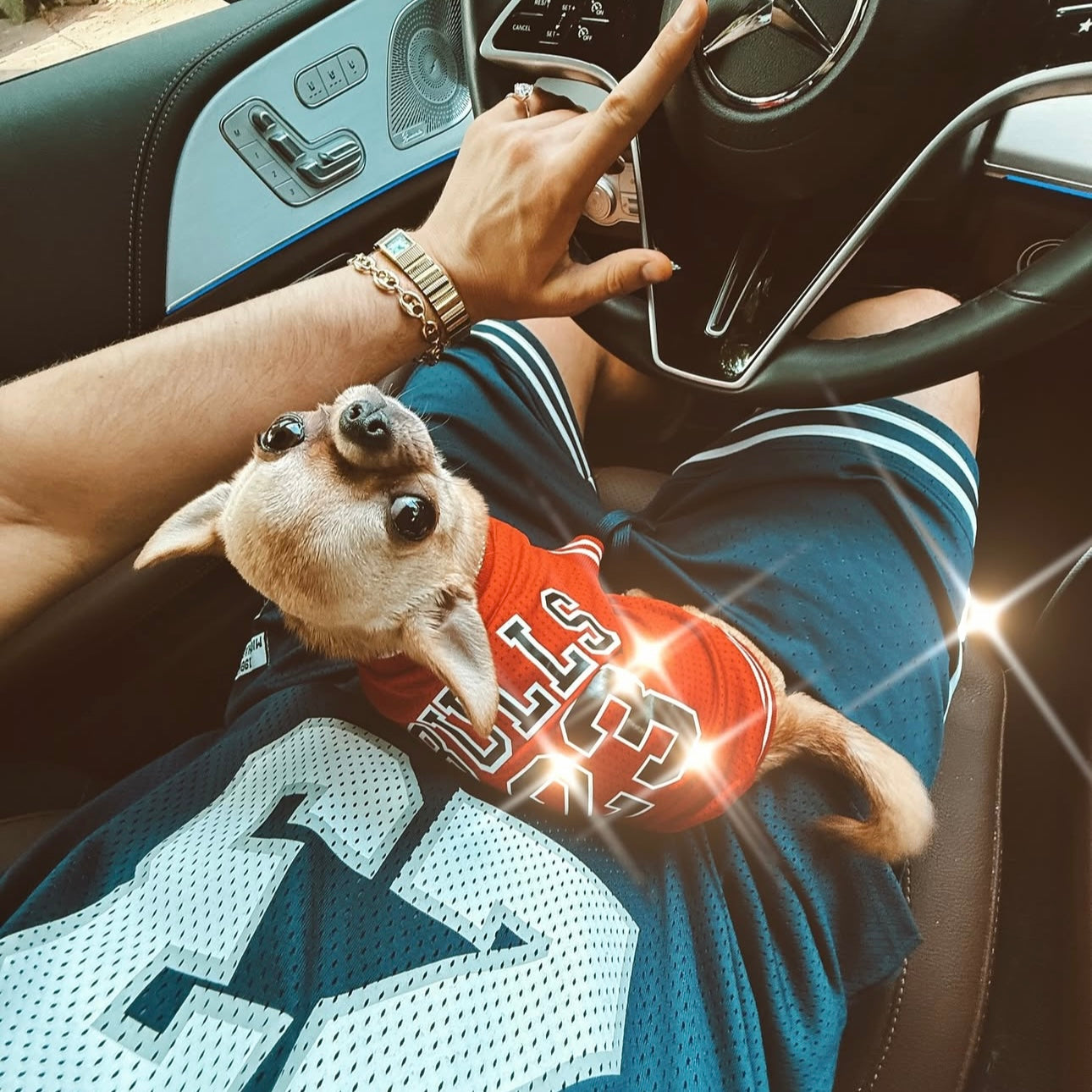 Furbaby Jersey