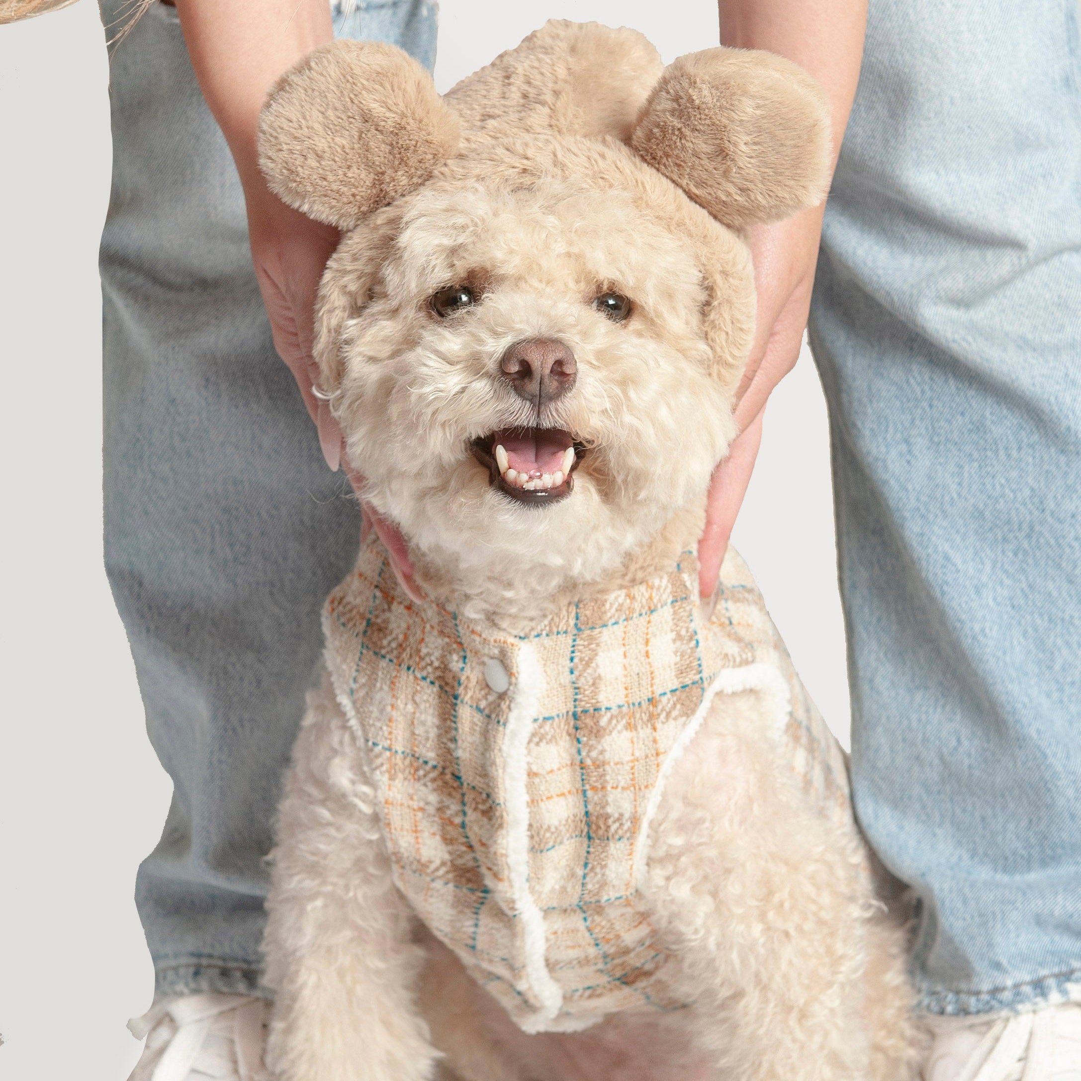 Teddy Plaid Hoodie