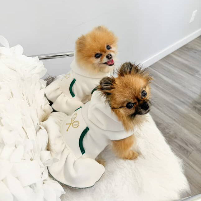 Sporty Pooch Dress