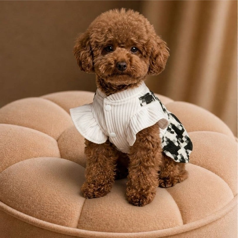 Posh Puppy Dress
