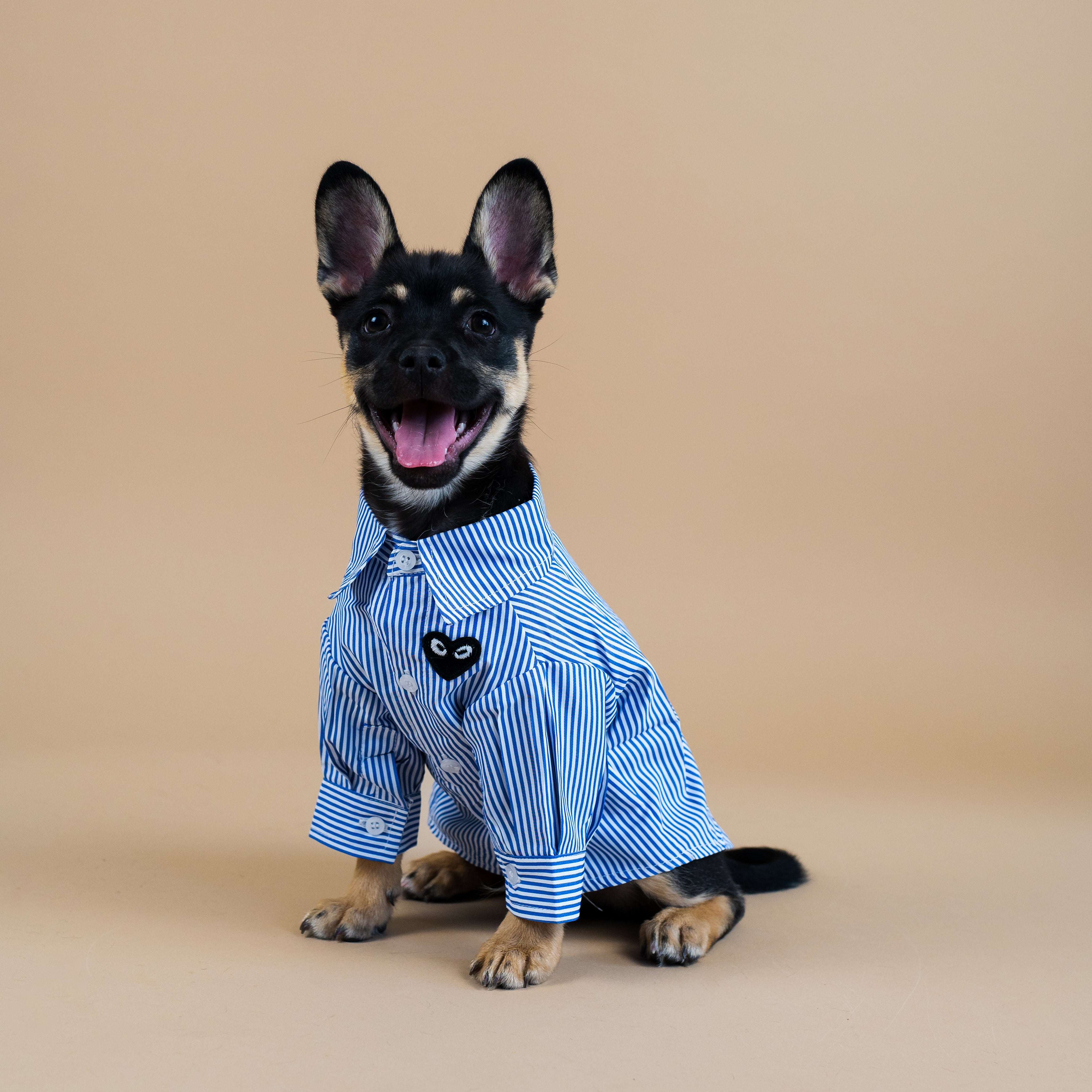 Charlie Button Up