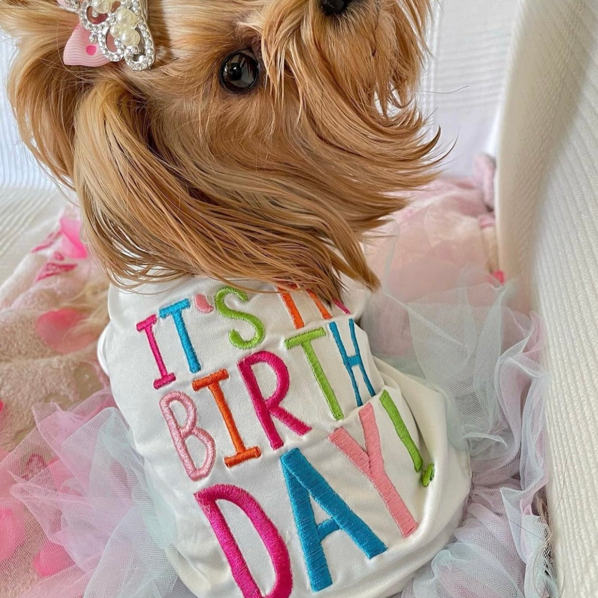 Birthday Dress