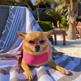 Load image into Gallery viewer, Cat Eye Sunnies