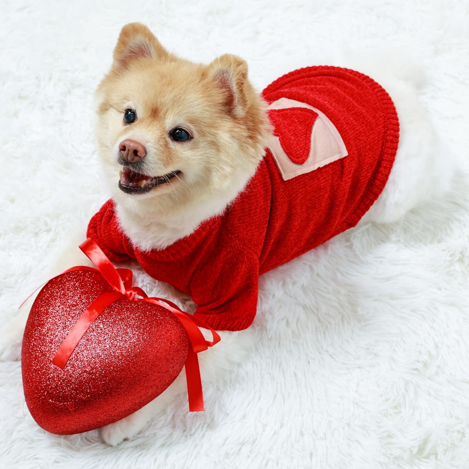 Valentina Knit