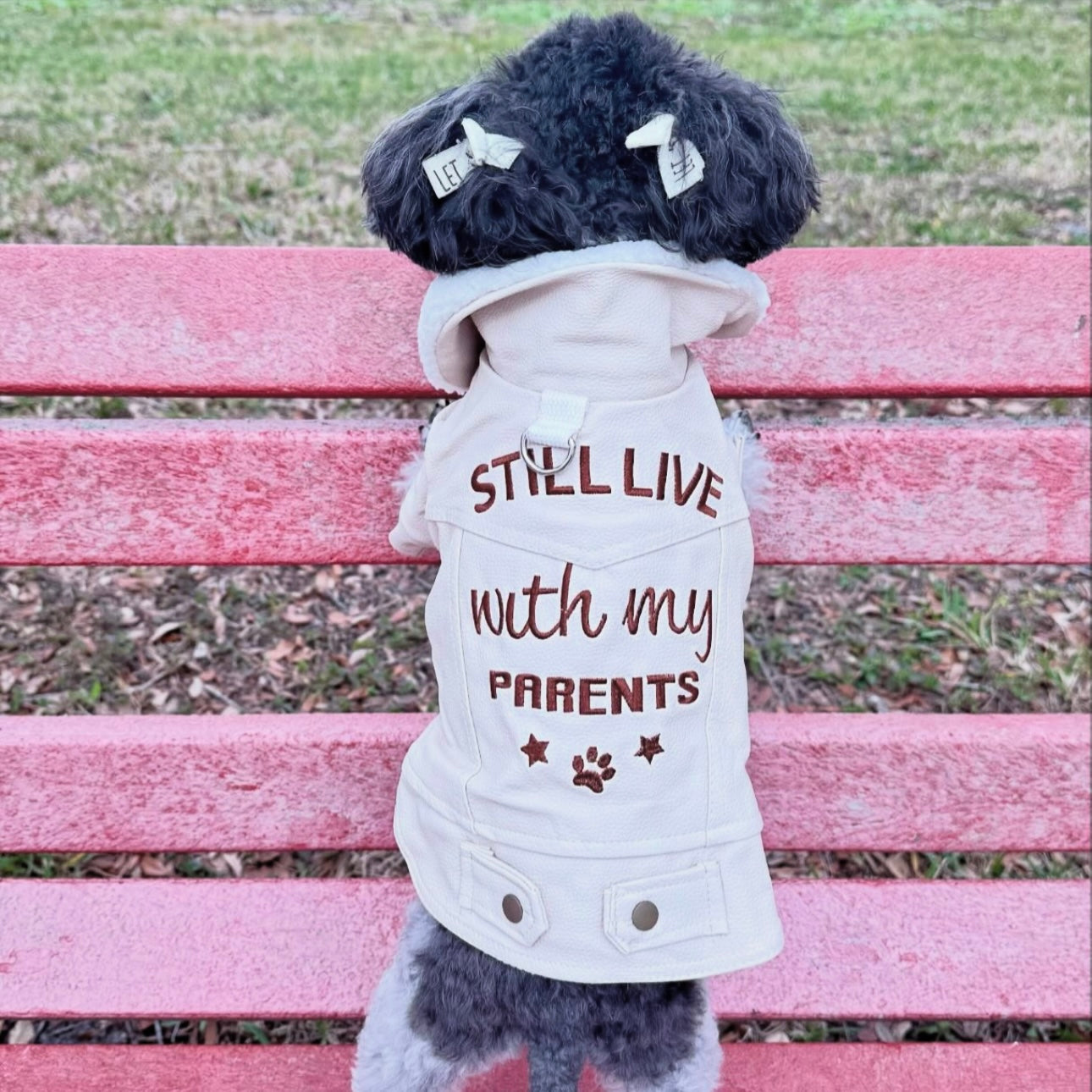 Furbaby Slogan Jacket