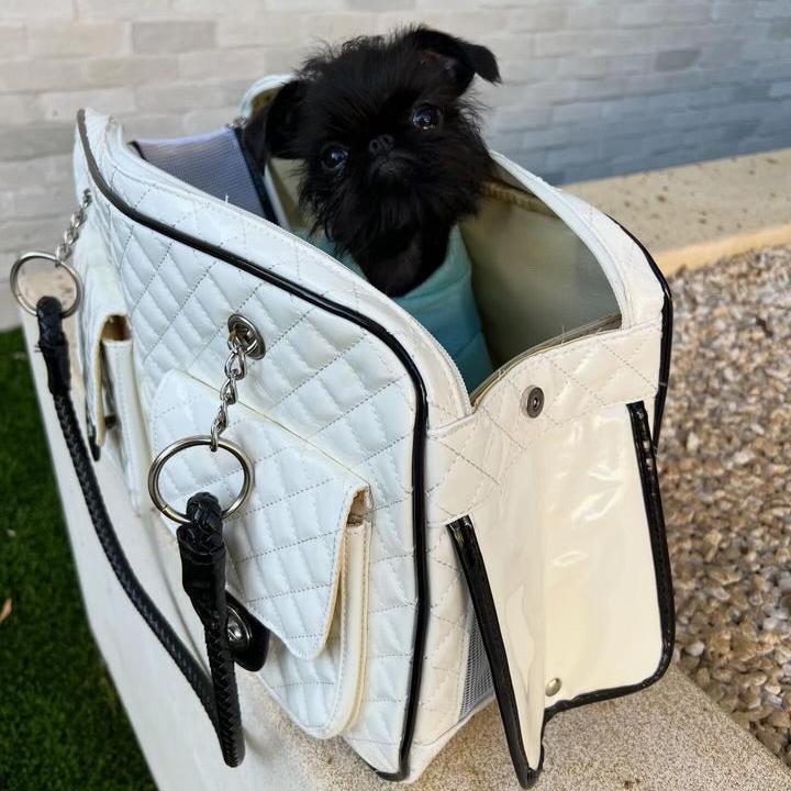 Coco Carrier White