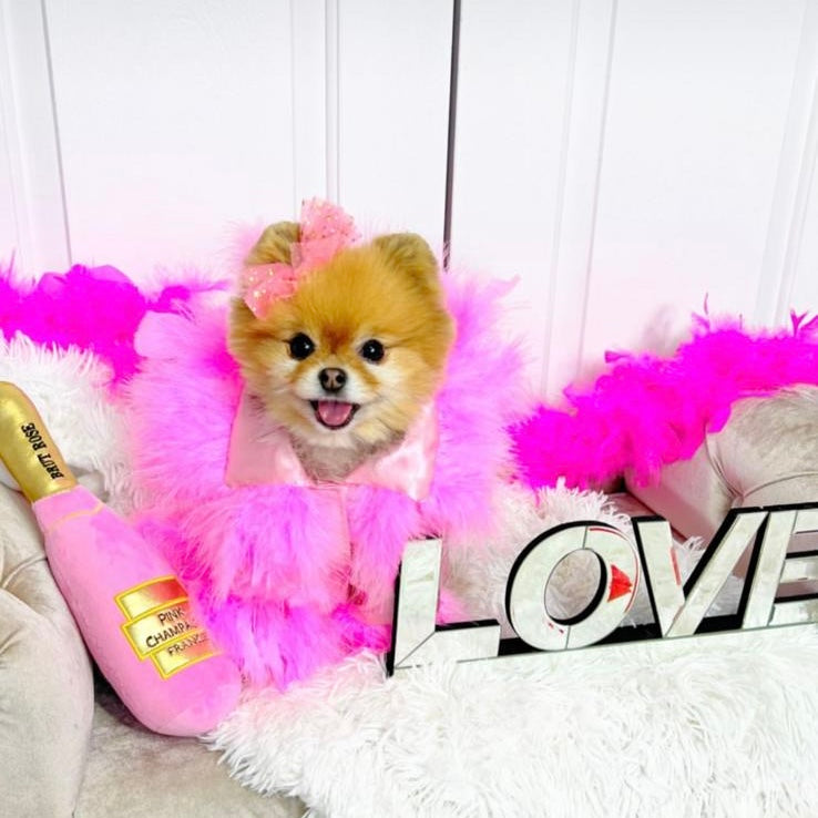 Diva Robe Pink