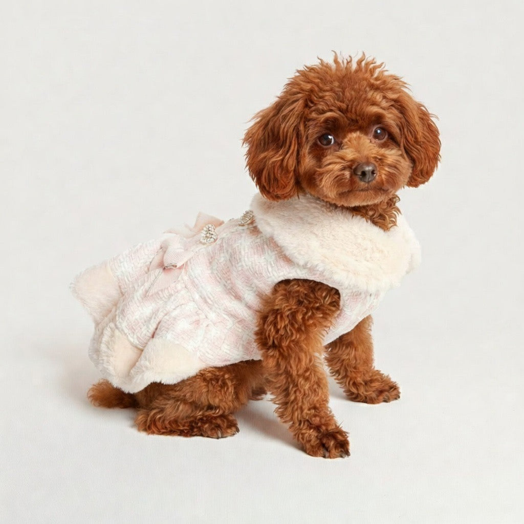 Parisian-Inspired Dog Designer Dress Parisian-Inspired Dog Designer Dress