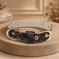 Load image into Gallery viewer, Signature Collar & Leash