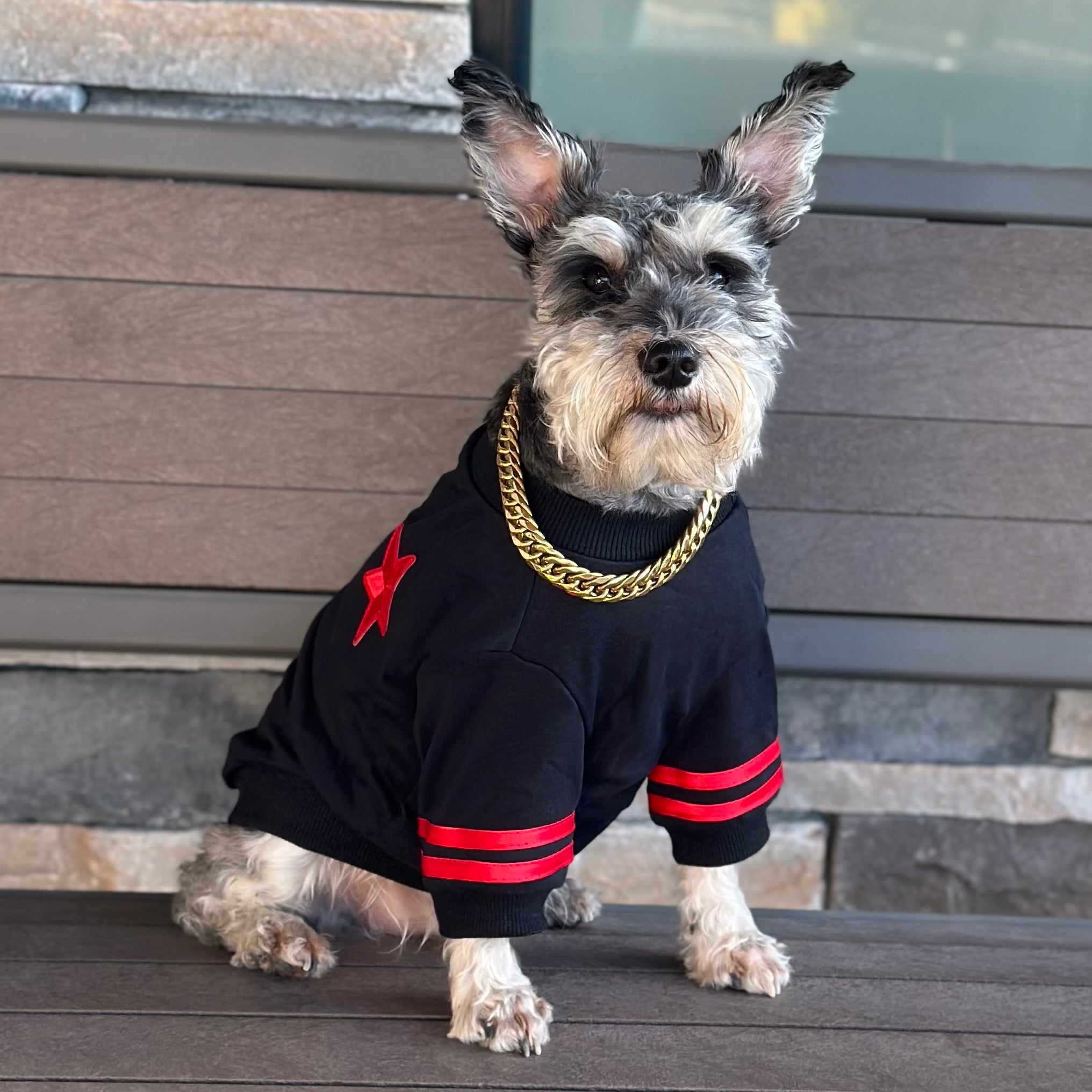 Rico Chain