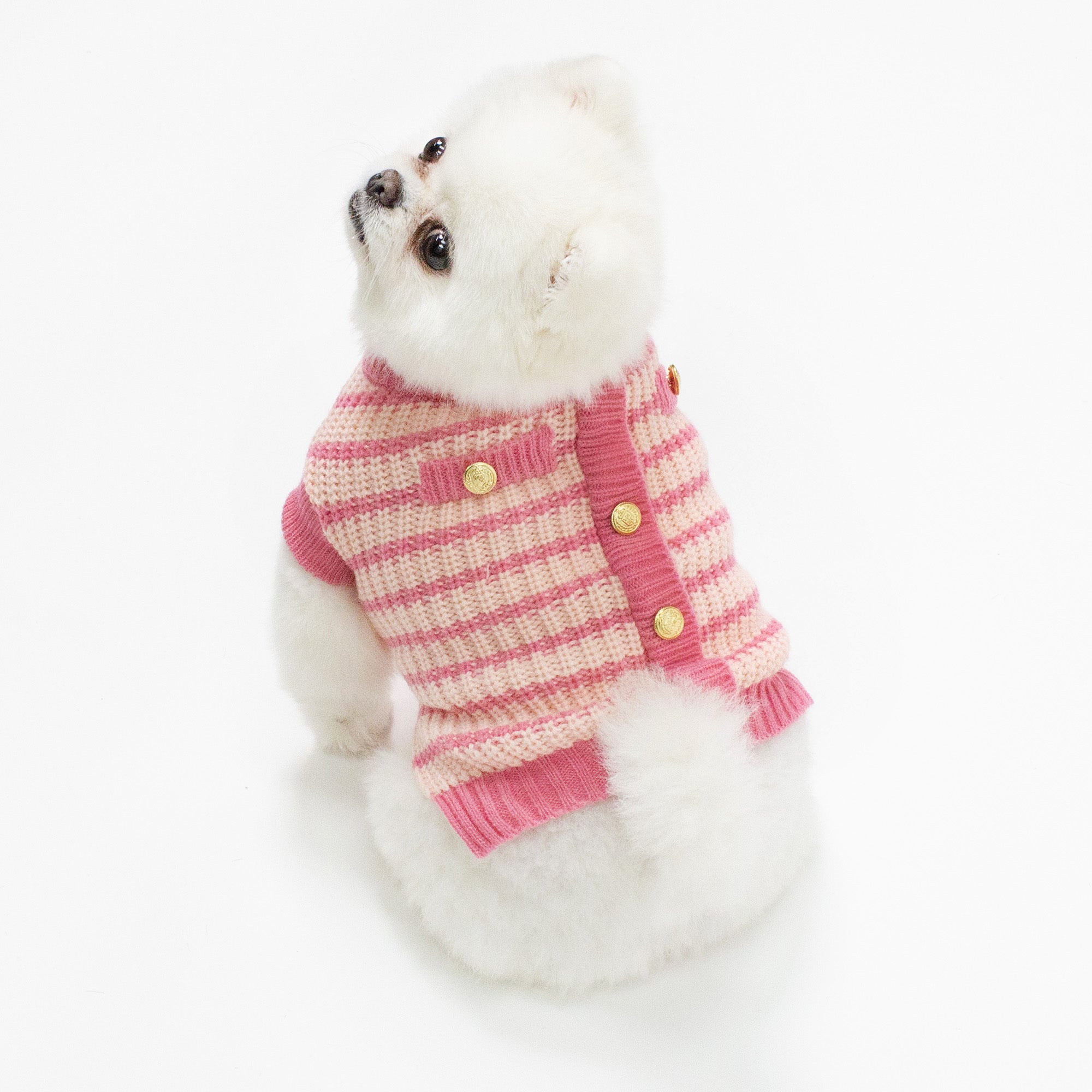 Paris Knit