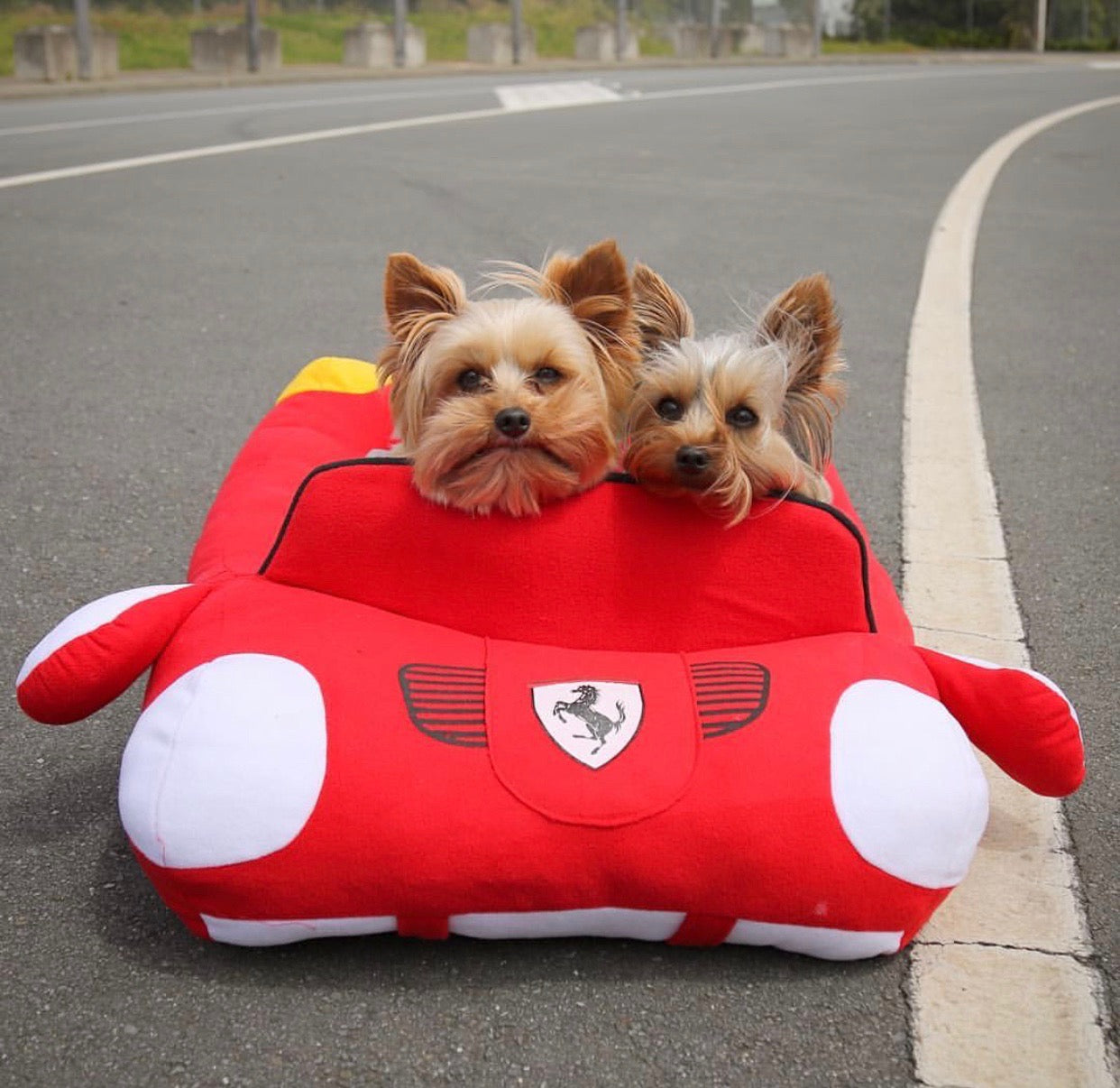 Furrari Bed
