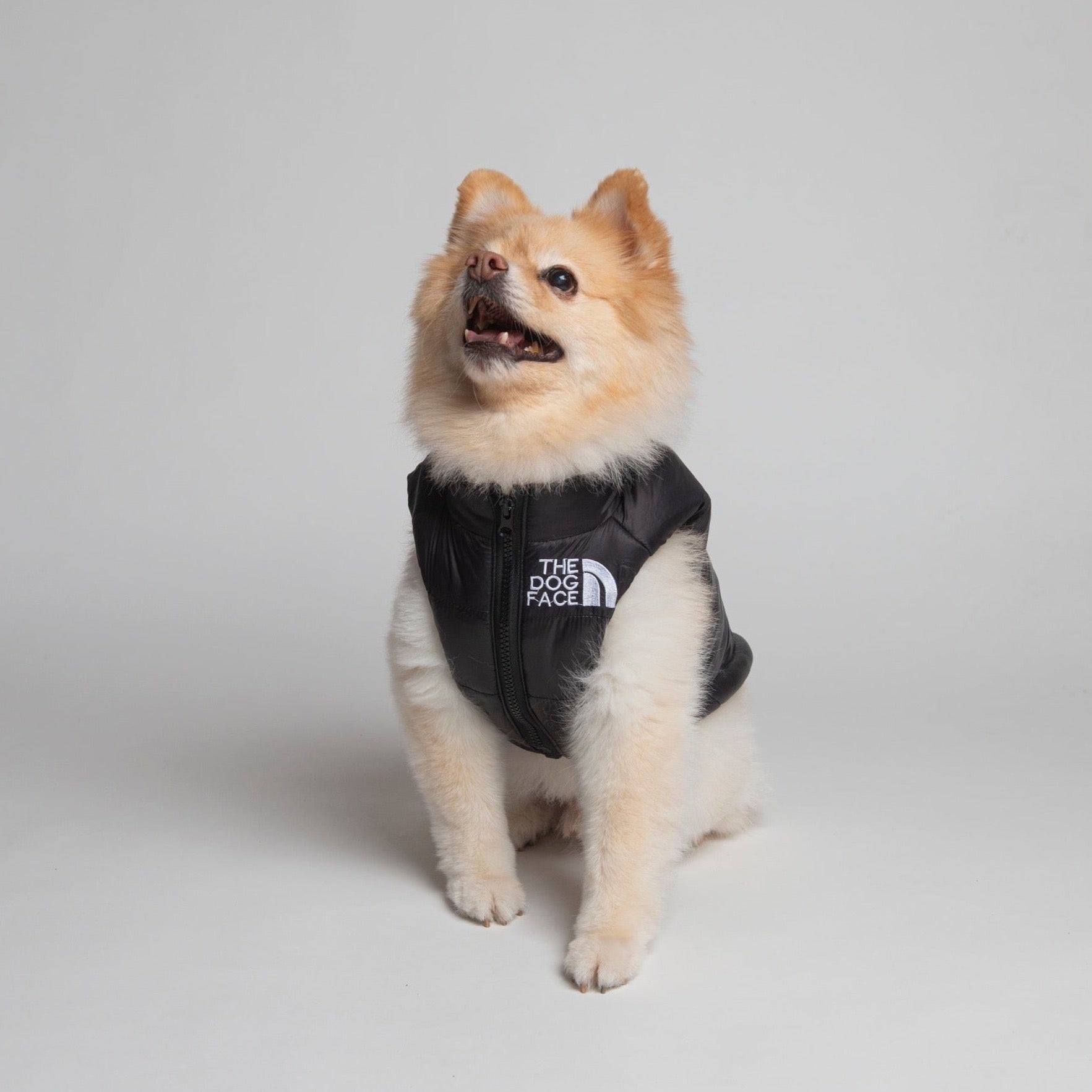 Dog Face Vest