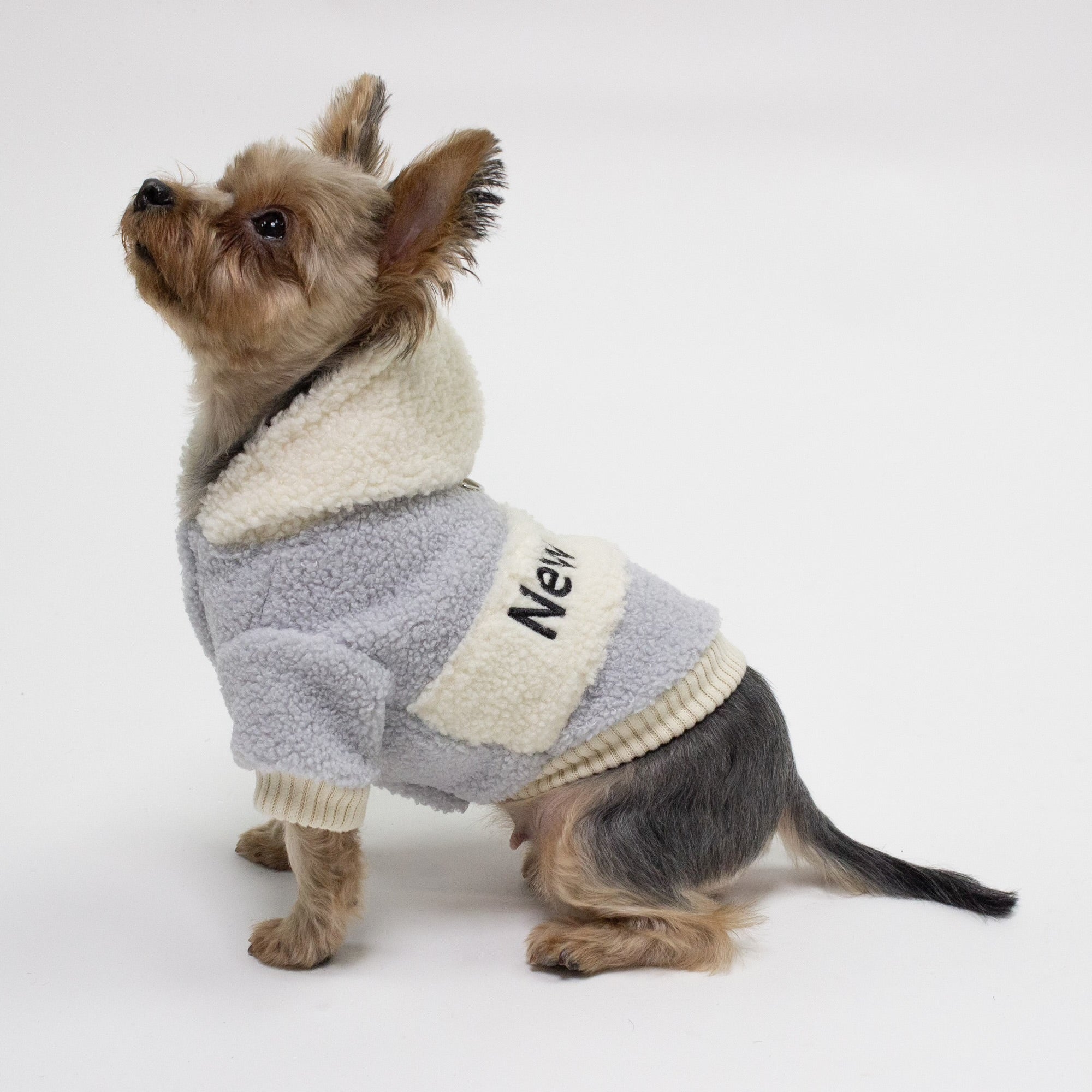 NY Sherpa Hoodie