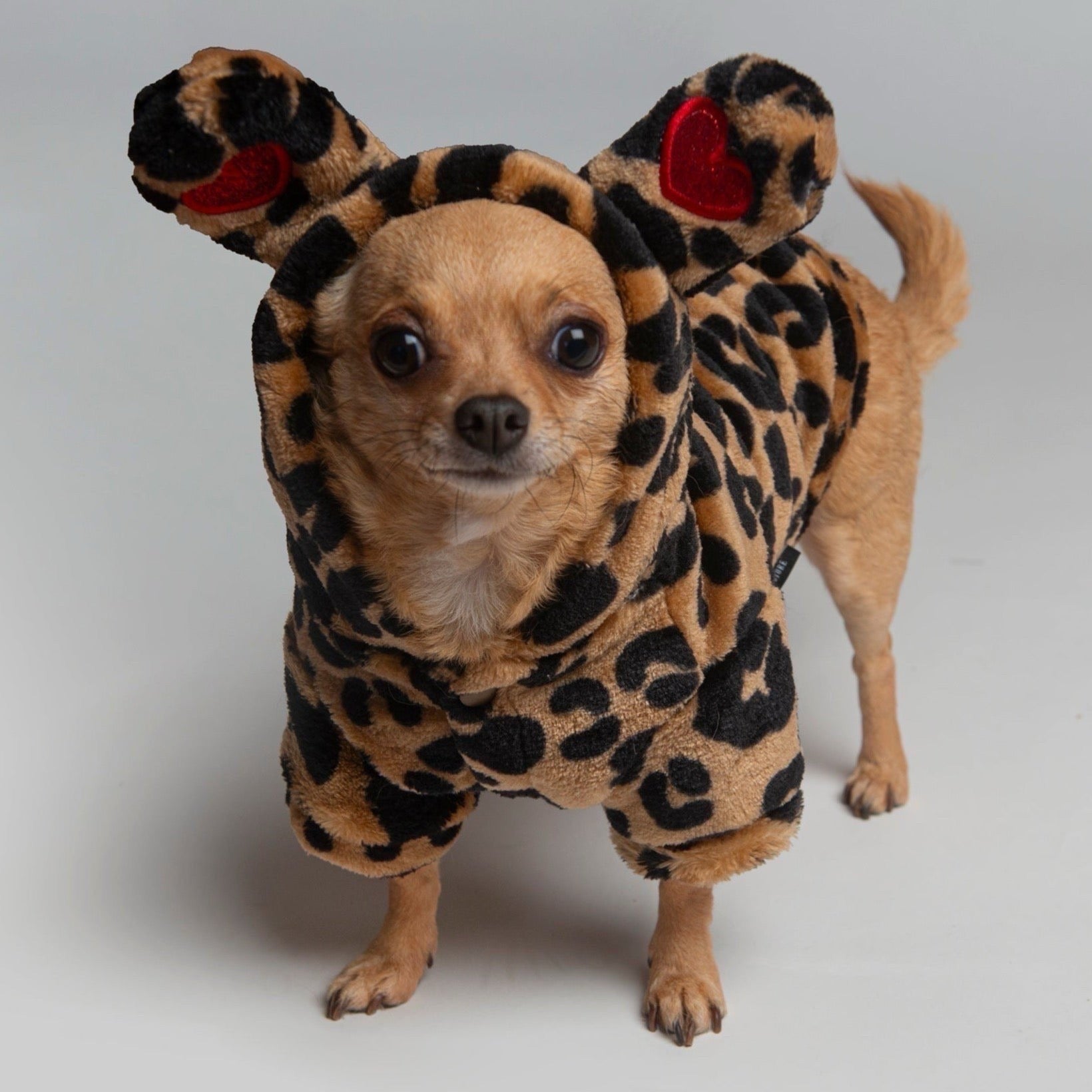 Furcheetah Hoodie