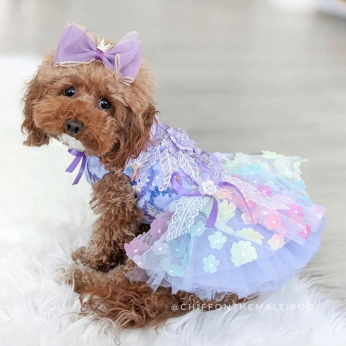 Duchess Bow