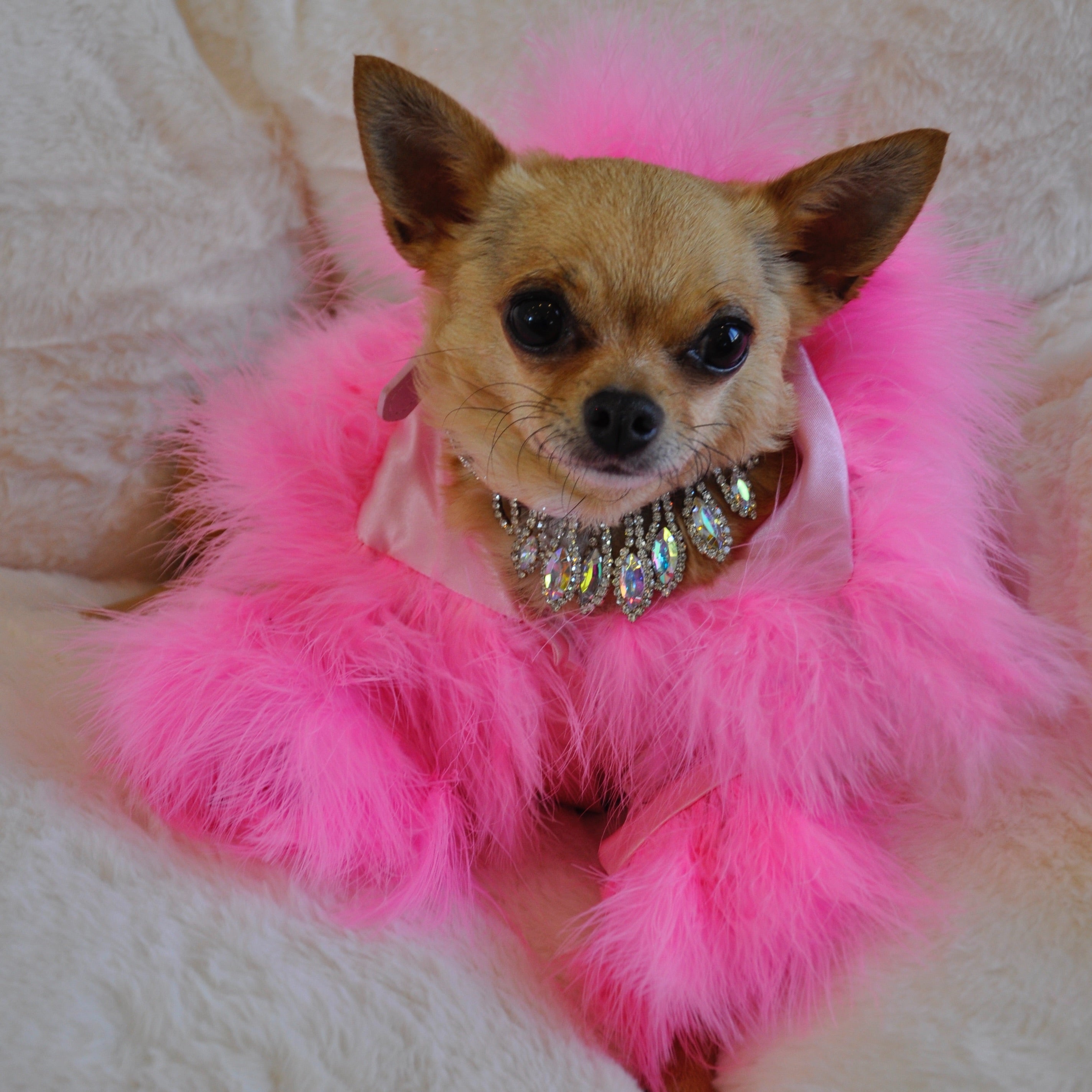 Diva Robe Pink