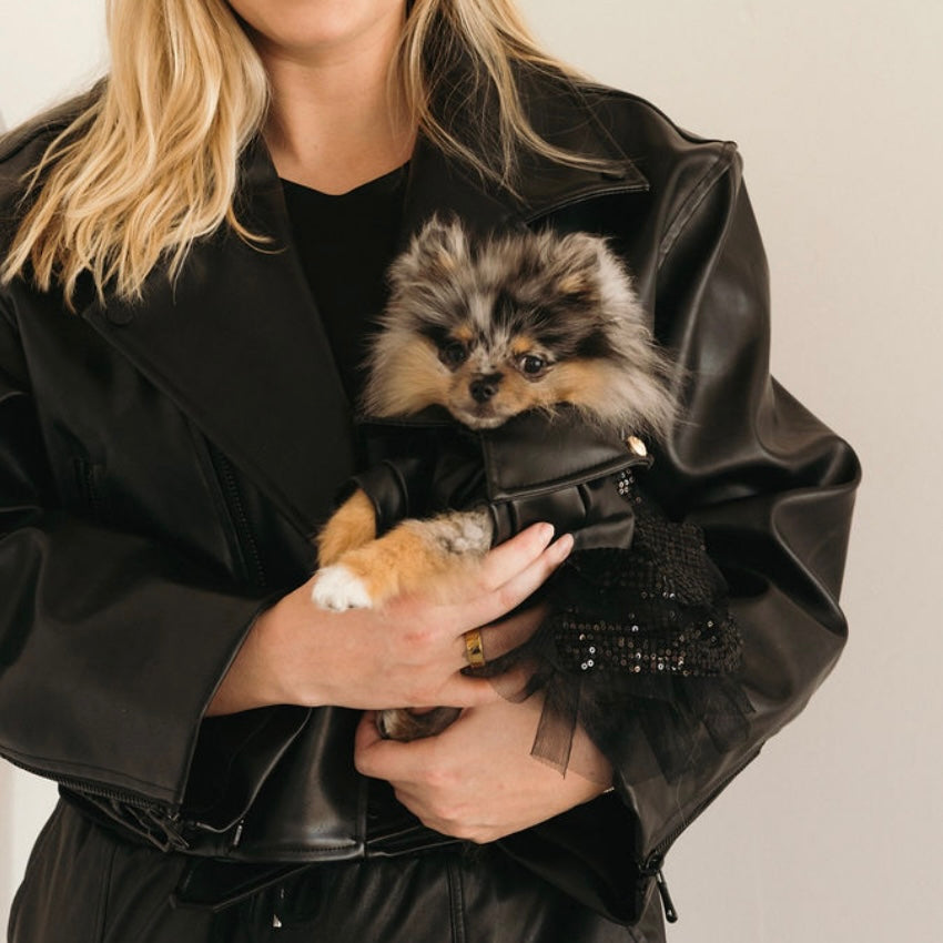 Posh Puppy Rockstar Dress