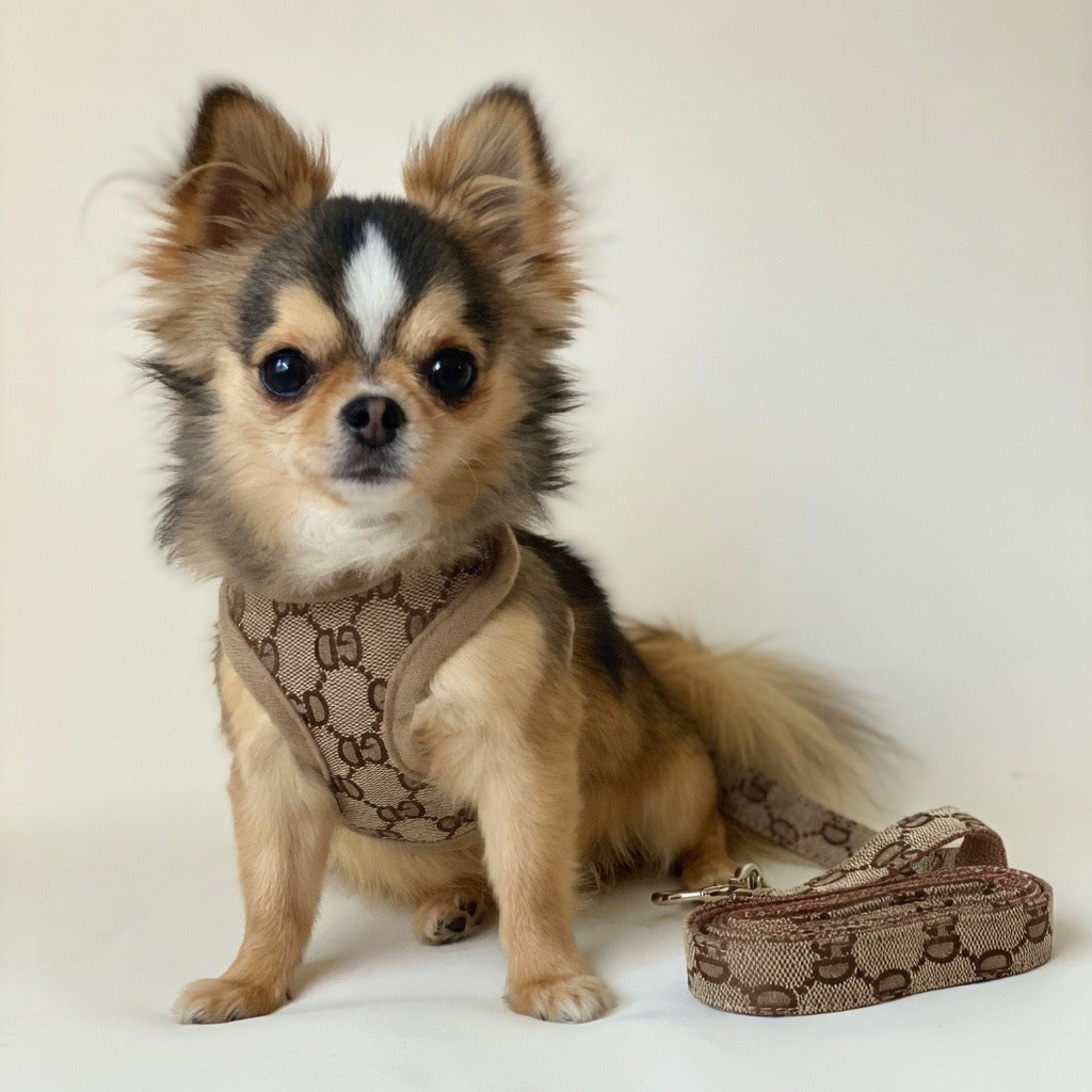 Good Dog Harness & Leash | Stylish Dog Harness Set | Furbaby Couture XL Good Dog Harness & Leash | Stylish Dog Harness Set | Furbaby Couture XL