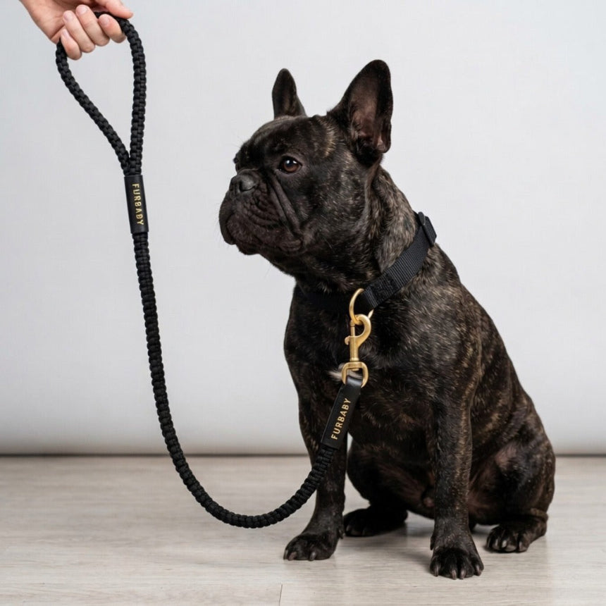 Furbaby Leash