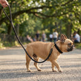 Load image into Gallery viewer, Furbaby Leash