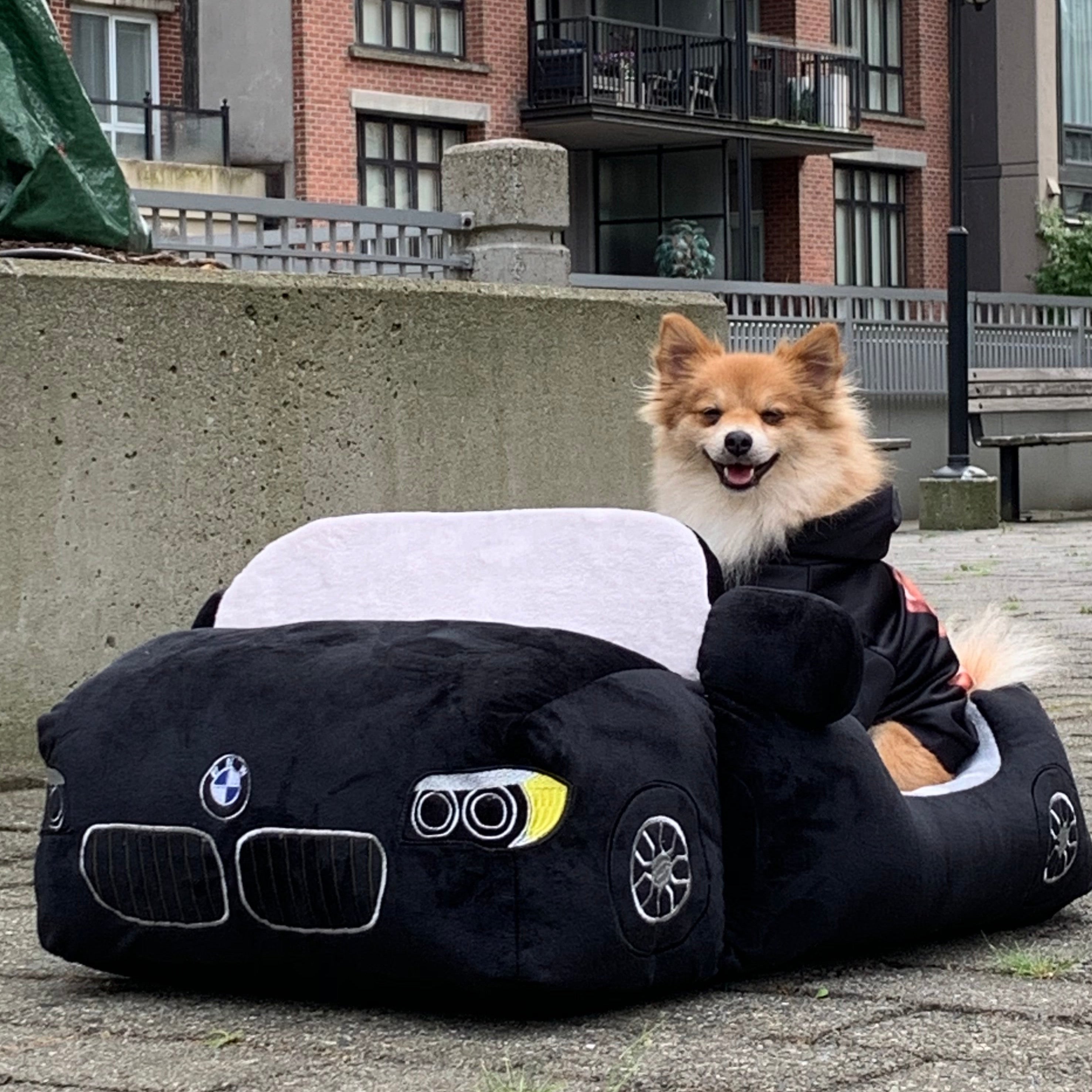 Custom Car Dog Bed